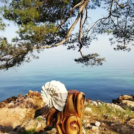 Fancy * 말린스카