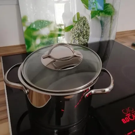 דירה Fancy מאלינסקה